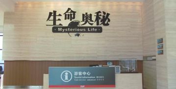 门票市场价格，合理实惠？还是“神秘”呢？