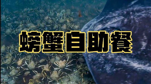 横行霸道的背后：巨蟹座的守护与诅咒