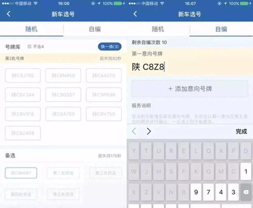 生肖与号牌：命中注定还是人为选择？