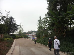 关于那些“网红”打卡点