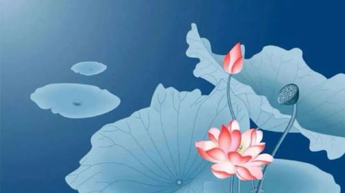 属狗人今天哪个时辰财运最好？财运走势如何？