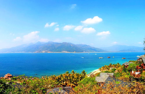 住住住：海景美到哭VS价格贵到哭