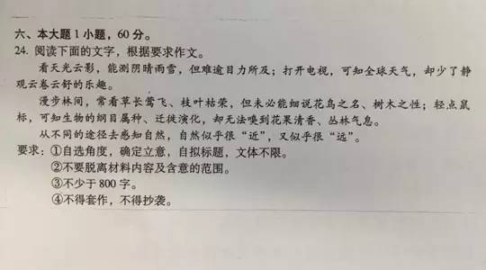 前言：猪年的预兆与考场的黑色漩涡
