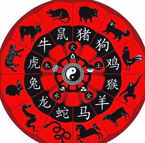 2020年2月4日十二生肖运势如何？