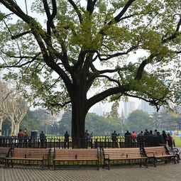 交通玄学！3号出口藏着惊天秘密