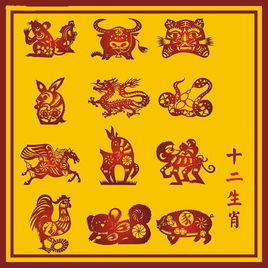 生肖虎在每个月的运势如何，具体每个月的出生年月日运势是怎样的？