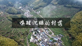 路上风景：比看油漆干还无聊