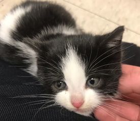 那东西夜晚， 我躲进了书堆