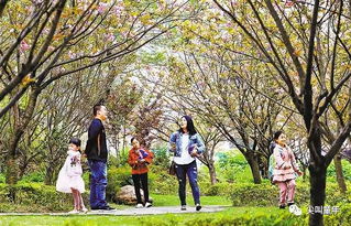 数据会说谎？家长更会说谎！