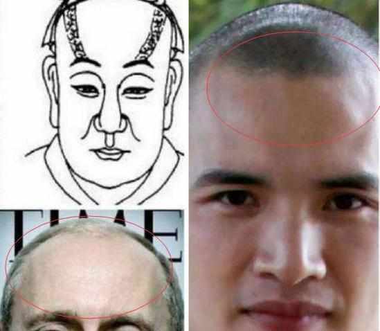 三、骨头长得跟艺术品似的