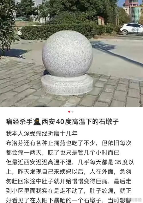 震惊！路边石墩竟成养生神器？2026年最新玄学指南