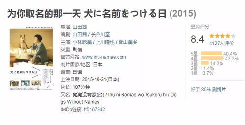 七月本命八字与宠物的缘分