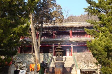 一、 前言：古刹的雾气与炎热闹的噪音交织成的奇怪情绪