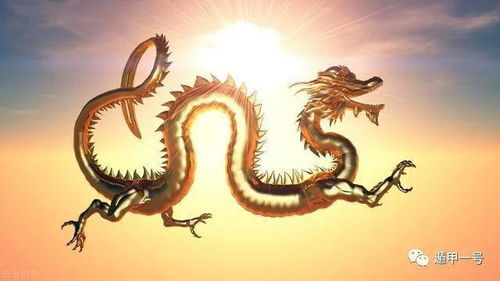 紫色：属龙人的超级幸运色， 戴上它就像开挂一样