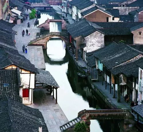 安昌古镇门票市场价格：绕弯子走