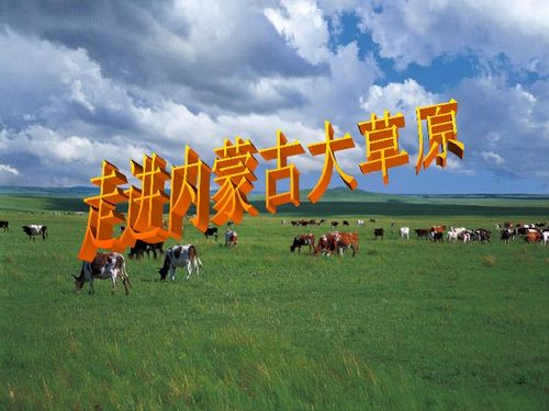 那些乱七八糟却又充满活力的活动
