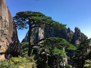 宁国黄山自驾游：一场充满惊喜（惊吓）的奇幻漂流