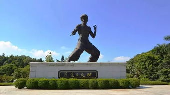 李小龙乐园：2026年龙年运势大揭秘！