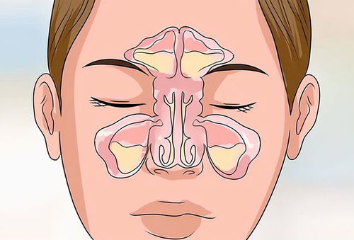 2.1 属马与媒婆痣：疾走如风，却常被“小黑点”拴住脚步。