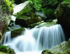石林奇观：探索独特的天然景观
