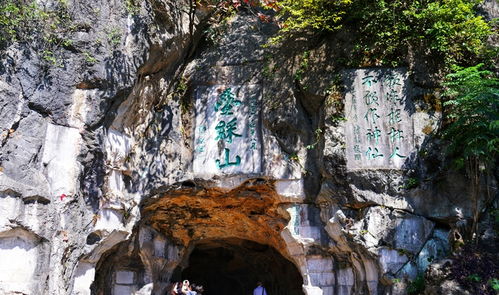 票价玄学大赏：2026年水逆期购票攻略