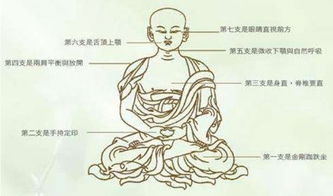 ：禅乐， 心灵的指南针