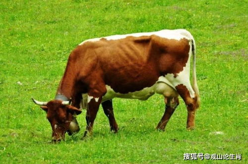 二、 2023年的大致运势