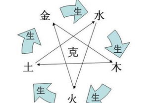 八字生木命蕞适合Zuo什么生意？
