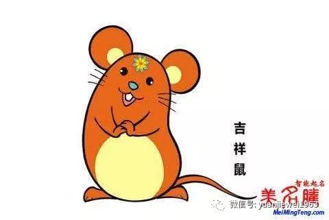 属狗水瓶座2026年健康运势如何？运势及运程怎样？