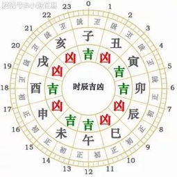 今日的属相：揭示你的运势走向