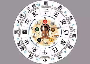 历史持续发展的拐弯：从元朝到明朝，这工艺经历了啥？
