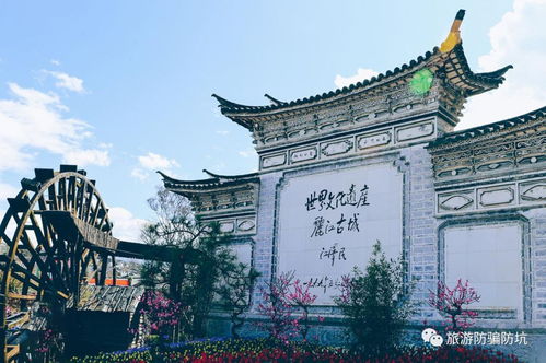 经济持续发展持续发展的崭新引擎