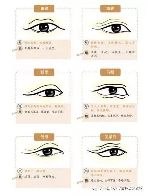 三、真假混杂：从“三停比例”到“天仓”到底靠不靠谱？（随意拼接）