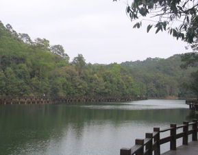 1.1 梅子湖的早晨与黄昏