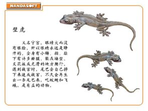 尾巴里的暗地：磁场与灵体的纠缠