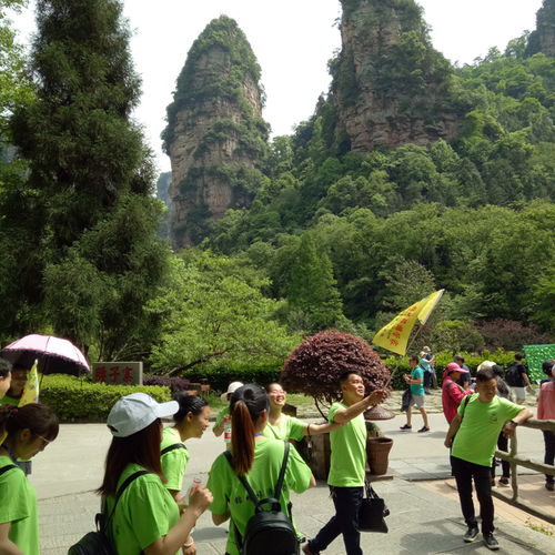 三、 提前了解目的地——不要这是因为良好奇而冲动消费