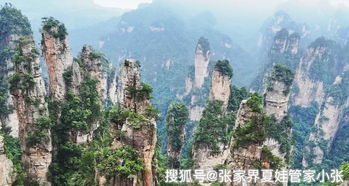 第二有些：第一天 - 武陵源初探