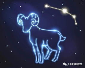 火象星座的激情燃烧岁月