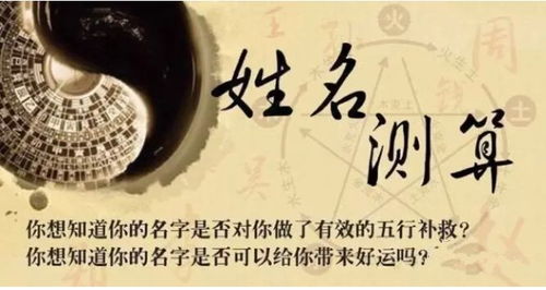 【核弹级2】乔钢蛋