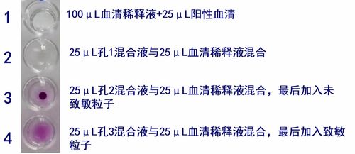 2026年星座运势大揭秘！血型与命运的奇妙纠缠