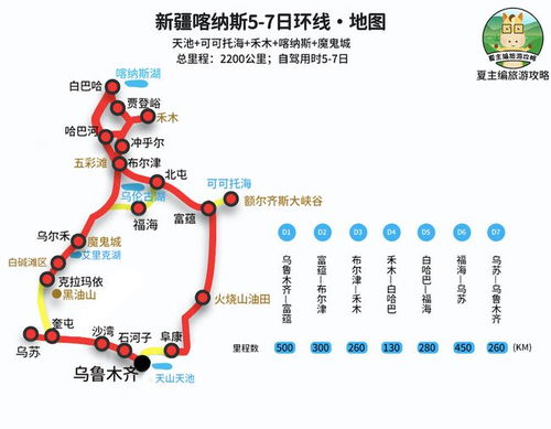 四、行程安排示例（乱写版）