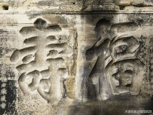 为哪些有人说“免费”是最不容简单得的礼物？