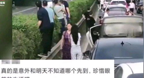 星座解读：狮子座英雄的陨落