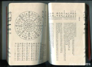 丙申年己亥月庚申日命理十神中哪些特点最显著？