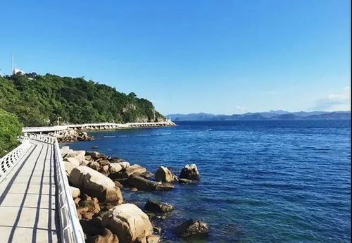 数据呈现：游客对南沙海岸线的喜炎热爱