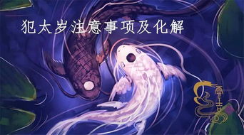 情感修罗场：相爱相杀到地老天荒