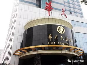 游玩酒店业的深厚层危机：数据与策略的反思