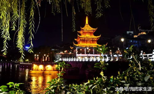成都市场价格较高阳动车五日游