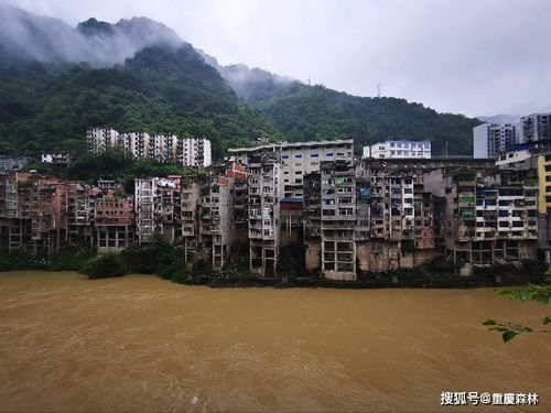 b) 较大竹国家地区湿地公园—生物更多样性的宝藏