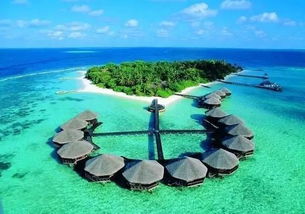 订房渠道大PK：到底谁最省钱？